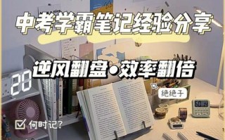 彼此相助，友情长存（小学生与流浪汉的不寻常相遇）