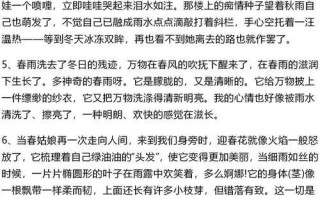 春天的芬芳（樱花盛开的故事）