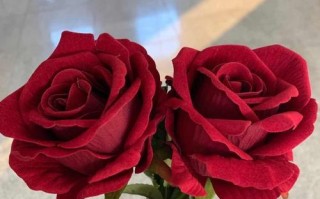宿命轮回，红尘恋歌（他是她的救命恩人，她是他的生死之交）