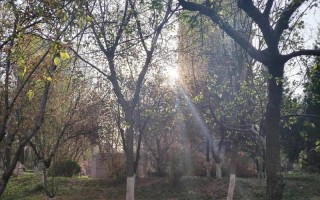 《持之以恒，不懈努力》（一个坚持自己梦想的少年）