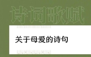 母爱——一份无私的情感