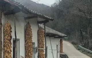怀乡之情