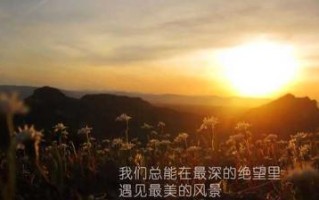 爱是一种力量，只要用心去感受（爱是一种力量，只要用心去感受）