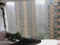 无助与挣扎（无助与挣扎）