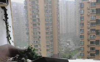 无助与挣扎（无助与挣扎）