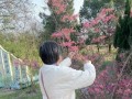 父母如山（一生相伴，情义无限）