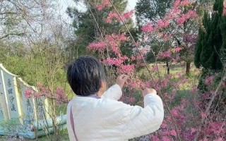 父母如山（一生相伴，情义无限）