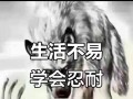 持之以恒，坚忍不拔（一个人的坚持，一份耐心）