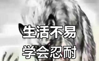 持之以恒，坚忍不拔（一个人的坚持，一份耐心）