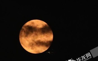 皓月当空，怀念家乡（星空下的思念）