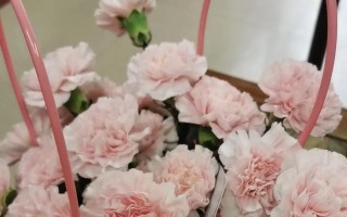 母亲的幸福节日（一个永难忘怀的经历）