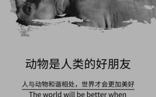 人与动物的友谊：一只小狗的冒险之旅