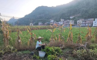 一个季节，一种味道，一段青春回忆（一个季节，一种味道，一段青春回忆）