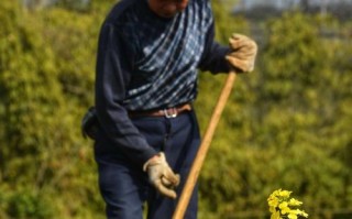 勤劳的母亲——为家庭耕耘的真正英雄（她们是最伟大、最无私的人）