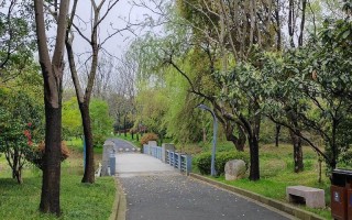 发现身边的美——小玲的故事（凝望生活中的点滴美好）