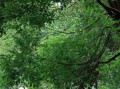 在大自然中找回自我（一个城市女孩的探索之旅）