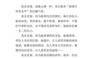 一朵菊花的成长之路（从幼苗到盛放，见证了他们的悲欢离合）