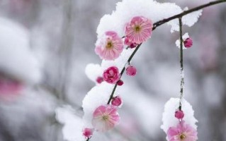 与自然对话（这也是一种美）