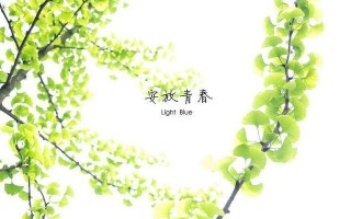 时光青葱岁月：爷孙间的情缘