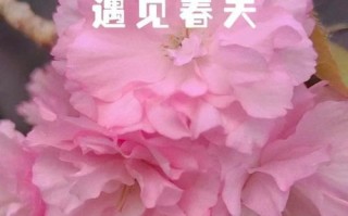 美好的陪伴（给我温暖的力量）