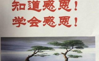 学会感恩（感恩之路，用心去感受）