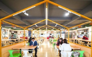 校园生活，五彩斑斓（我与艺术之间的那些事）