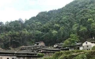绿色的故事（秀丽的风光，拥抱大自然）