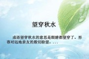 水的奇妙世界