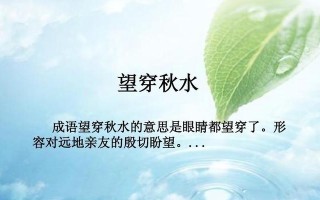 水的奇妙世界