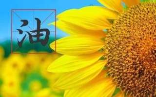 追逐梦想的路上（从心出发，坚持不懈）