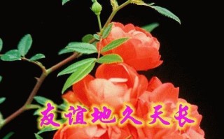 一个小镇的故事（一个小镇的故事）