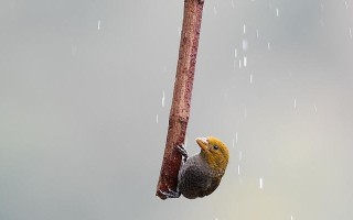 冬雨与温暖（一段暖心的故事）