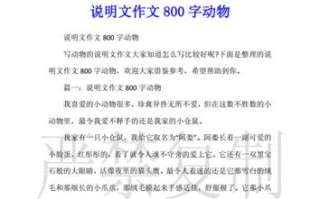 魔法的力量(一个普通人如何成为魔法师) 魔法的力量(一个普通人如何成为魔法师)