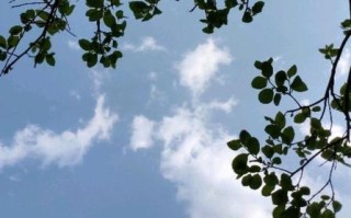 阳光如春，滋润着世界（一颗心的故事）