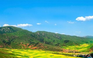 欢乐的田野（大自然的美好与和谐）