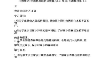 课教案的魔力（一位老师的成长与突破）