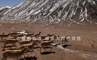 当勇气被激发时,我学会了勇敢(当勇气被激发时,我学会了勇敢) 当勇气被激发时,我学会了勇敢(当勇气被激发时,我学会了勇敢)