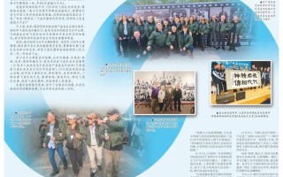 从迷茫到坚定——我的成长故事（坚持追求梦想，为社会做出贡献）