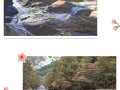 绿色的世界