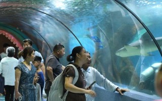 海洋之梦：彩色的海洋