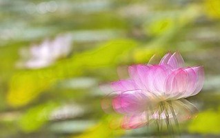 妈妈，我想对你说（相处时光，珍惜每一刻）