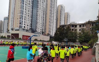 快乐校园：一个充满活力的世界