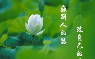 感恩之心，细水长流（一段青春，十年感恩）