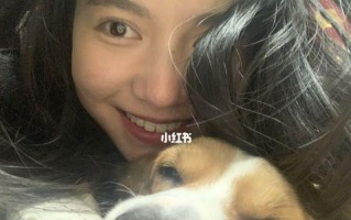 小狗，我的忠诚朋友（小狗陪我度过的美好时光）