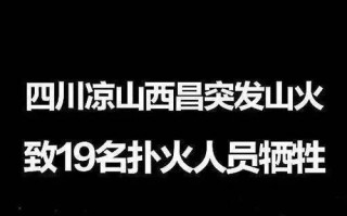 逆行者的勇气（因为需要，他们奋勇前行）