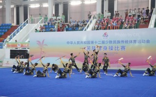 运动场上的故事（兄弟、竞争与成长）