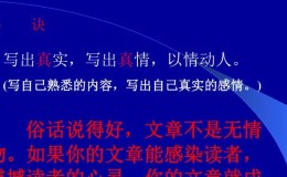 真情永远流淌(当爱与责任相遇) 真情永远流淌(当爱与责任相遇)