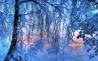 冬日里的纯净与美好（白雪皑皑，心灵澄明，快乐降临）