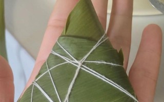 端午节的故事（吃粽子的味道）
