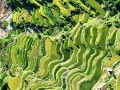 成长的记忆（一个女孩的成长故事）
